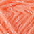 salmon-521